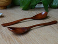 Two hand-crafted wooden cooking spoons with polished bowls on light wood surface, surrounded by green plants.