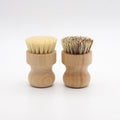 Two wooden dish brushes with natural bristles side by side, featuring replaceable heads and sustainable bamboo construction o