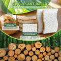 Eco-friendly kitchen sponge set featuring natural coconut fiber and white cellulose sponges for sustainable dishwashing.