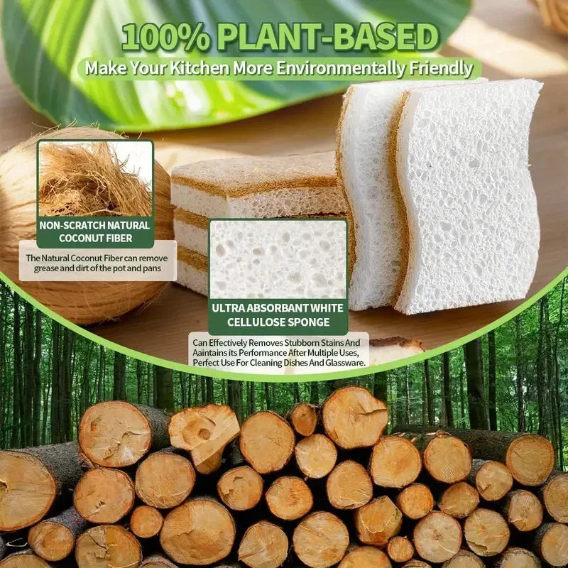 Eco-friendly kitchen sponge set featuring natural coconut fiber and white cellulose sponges for sustainable dishwashing.