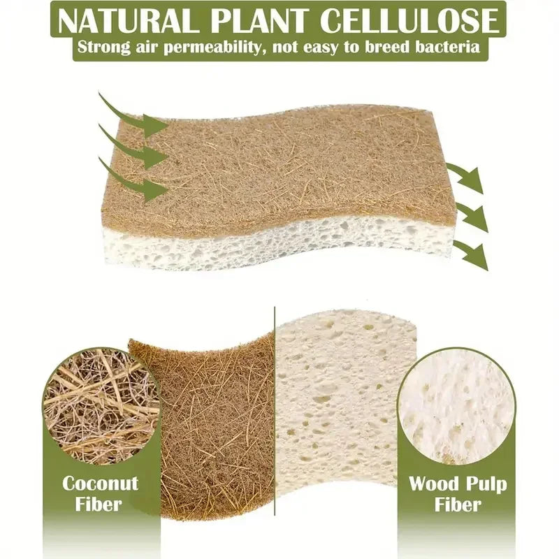 Bamboo and coconut fiber kitchen sponges showing natural plant cellulose layers with air permeability and antimicrobial prope