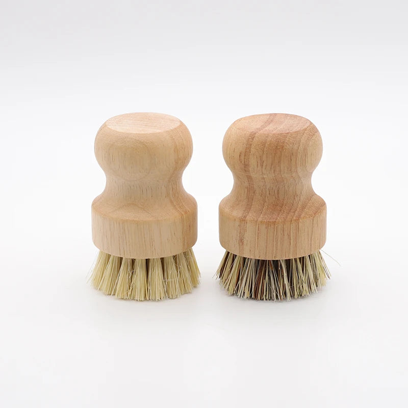 Two wooden dish brushes with natural bristles side by side, featuring replaceable heads and sustainable bamboo handles on whi
