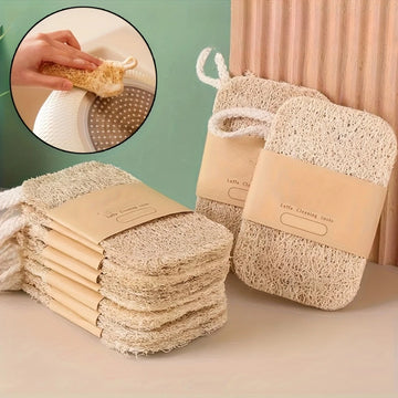 Natural Loofah Dish Scrubber – Eco Kitchen Cleaning