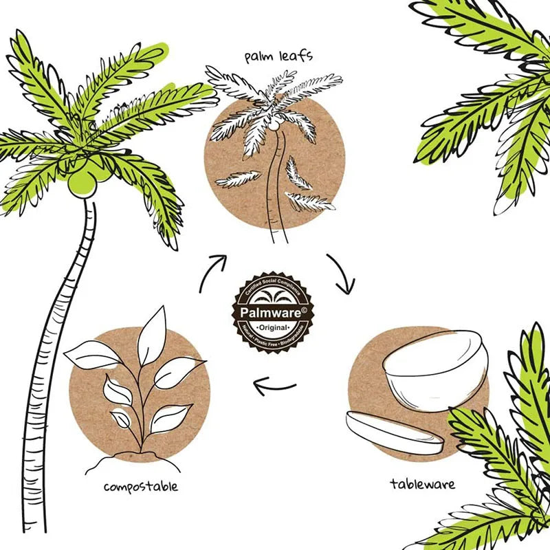 Palmware biodegradable palm leaf tableware and compostable products surrounded by tropical palm leaves illustration.