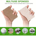 Bamboo and coconut multiuse sponges in tan and cream, shown cleaning dishes, countertop, sink, window, and stove surfaces.