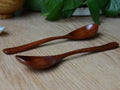 Two hand-crafted wooden spoons with smooth handles displayed on light wooden surface with green plants in background.