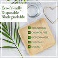 Eco-friendly palm leaf plates with green checkmarks highlighting 100% natural, chemical-free, biodegradable, disposable, and 
