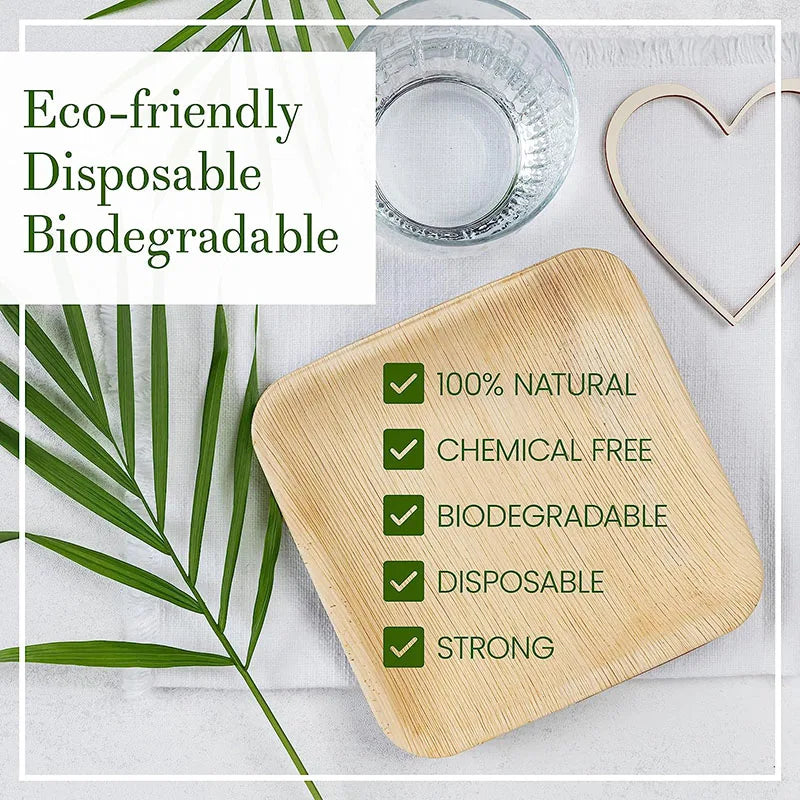 Eco-friendly palm leaf plates with green checkmarks highlighting 100% natural, chemical-free, biodegradable, disposable, and 