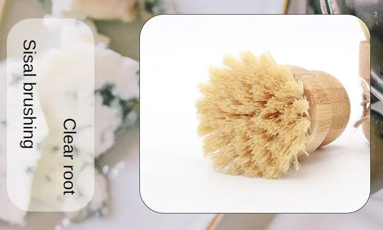 Wooden dish brush with natural coconut fibre bristles for eco-friendly cleaning, displayed against white background.