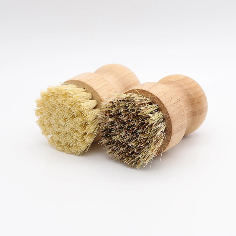 Two wooden dish brushes with natural bristles, one with light bristles and one with dark bristles, featuring replaceable head
